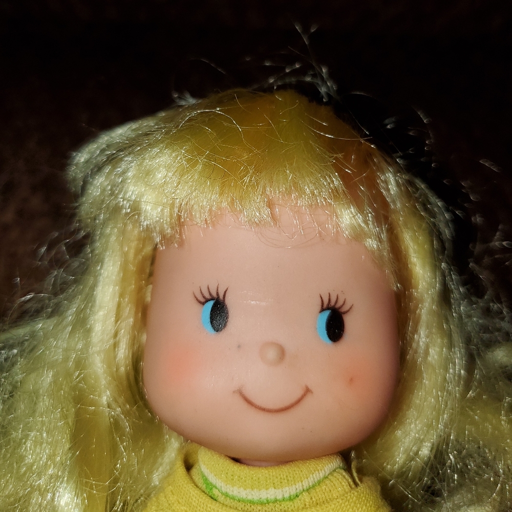 Like Lemon Vintage Remco life Savors